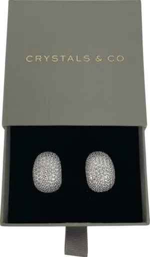 Crystals And Co Metallic Pave Bubble Dome Earrings In White Gold One Size