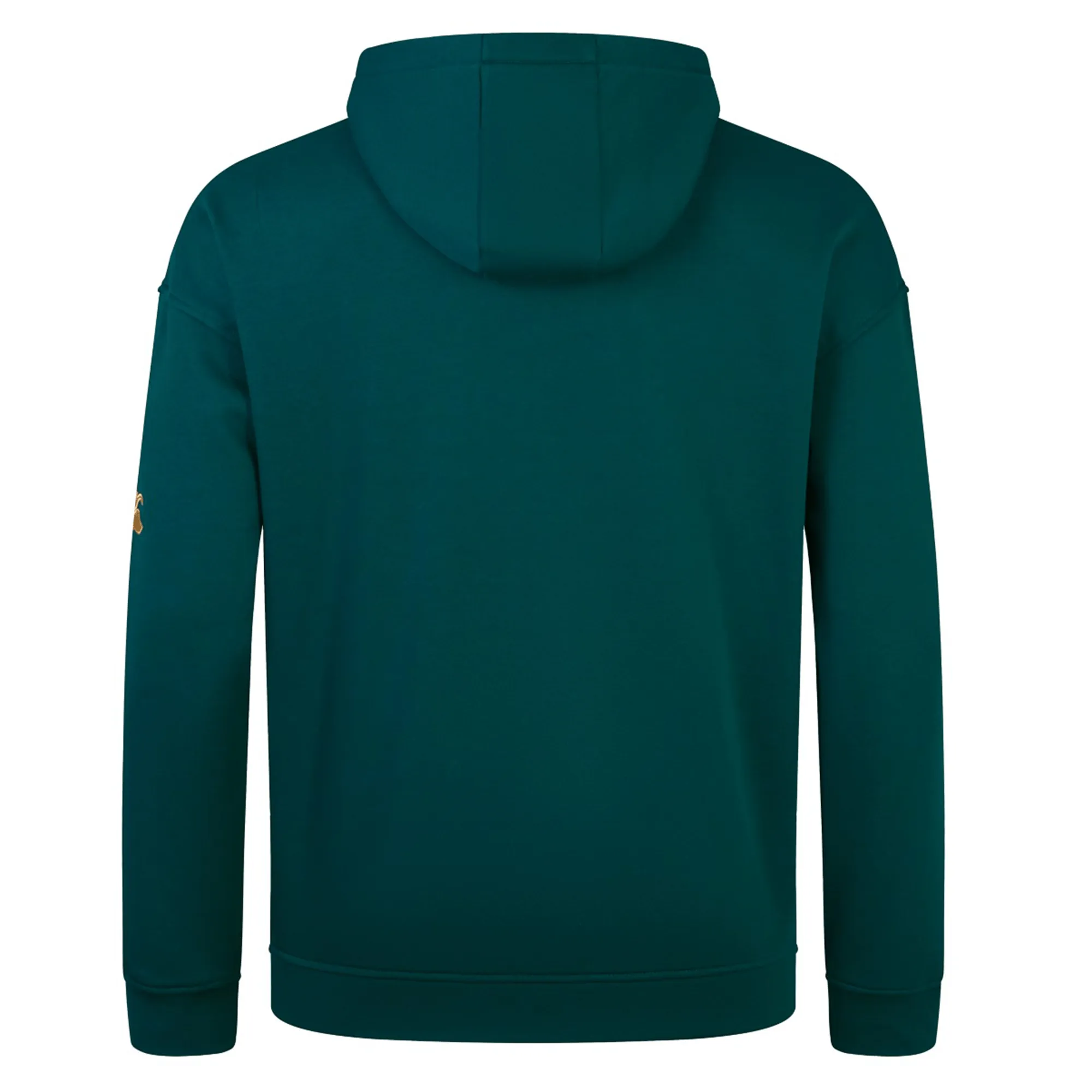 Ireland 150th Anniversary Hoodie by Canterbury