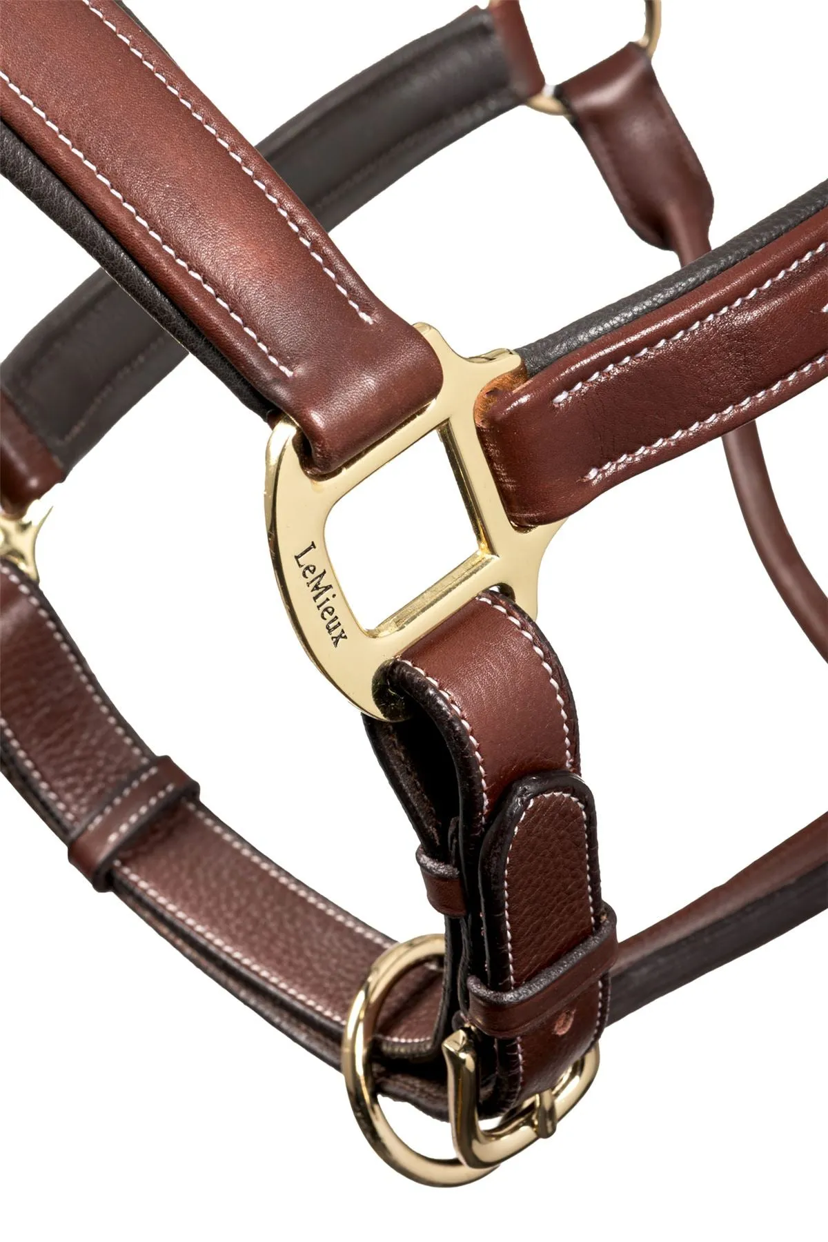 LeMieux Stitched Leather Headcollar