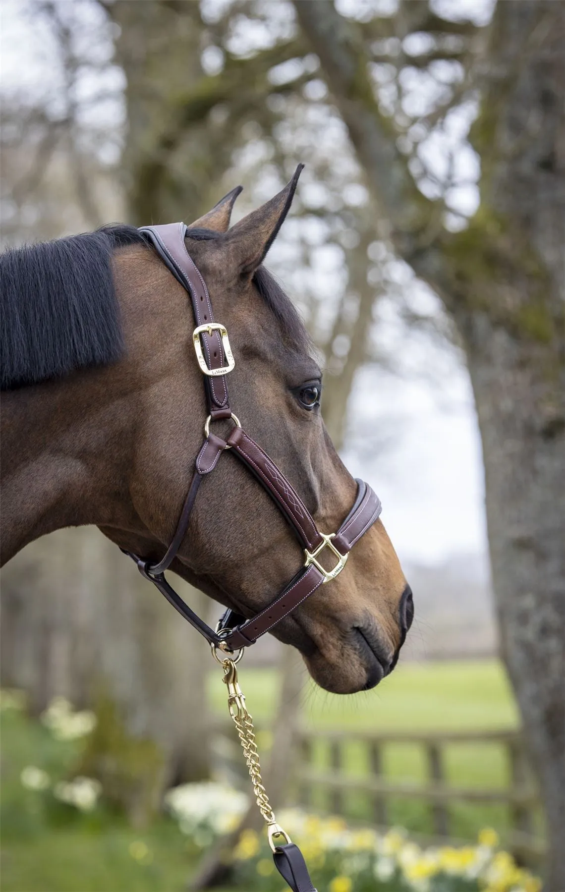 LeMieux Stitched Leather Headcollar