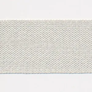 Metallic Ribbon #2 Off White & Silver