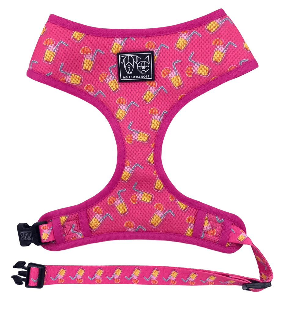 "Lemonade" Classic Harness
