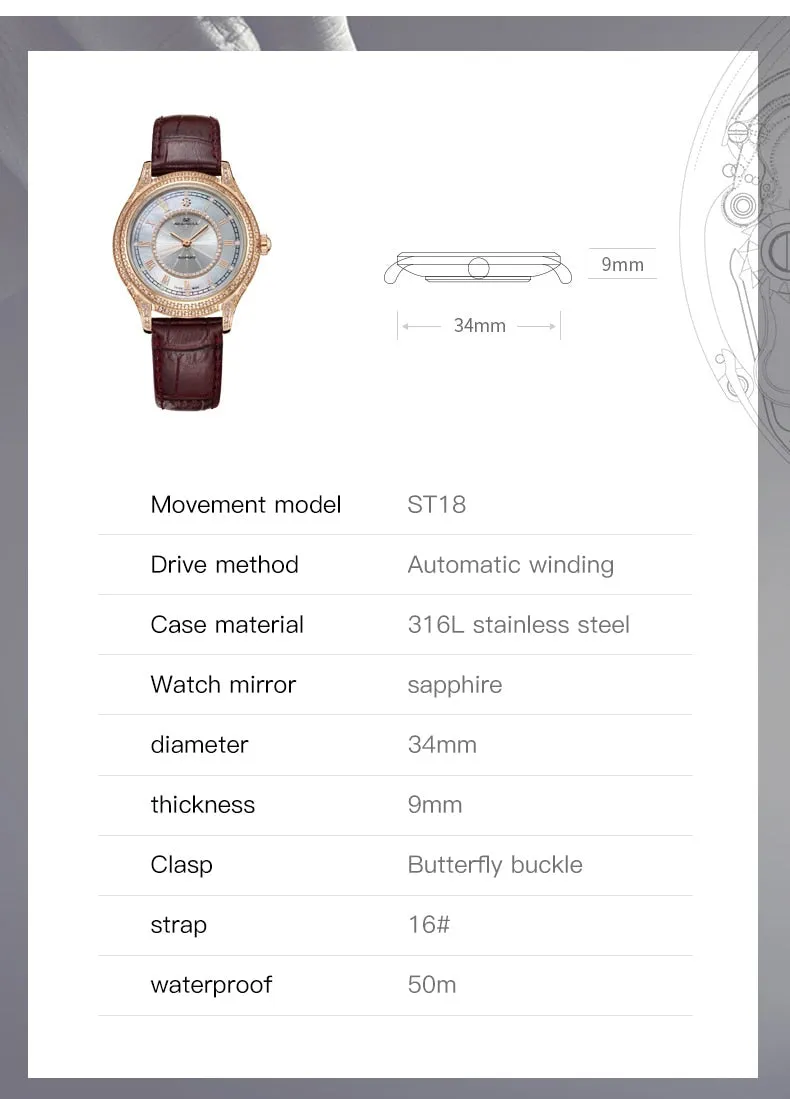 Sea-Gull ladies mechanical watch - master series 1103L Model No.319.17.1103L