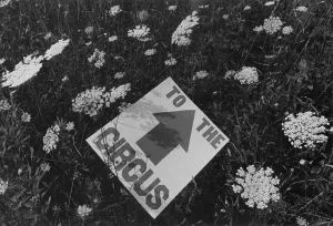 Untitled [To the Circus]